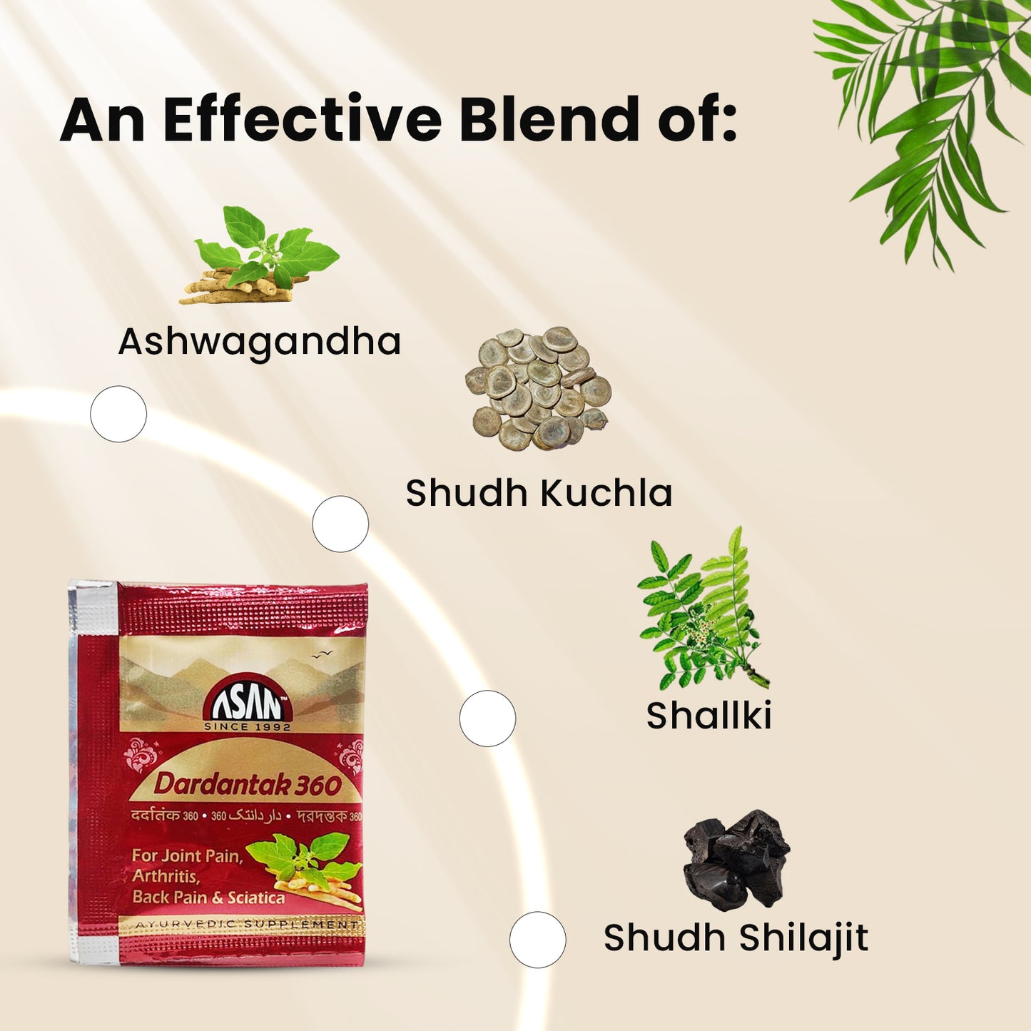 Dardantak 360: Nurturing Bone Health with the Power of Ayurveda