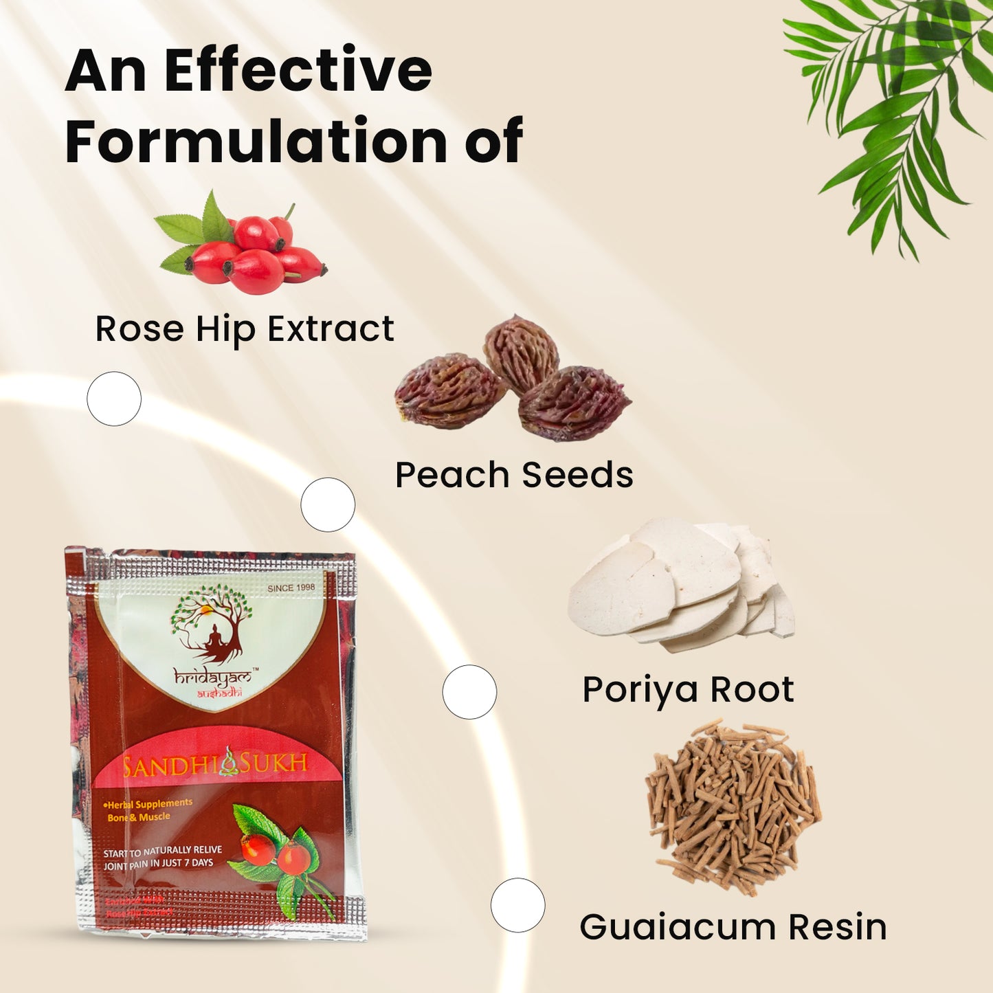Sandhi Sukh Powder: A Miraculous Cure to Joint Pain