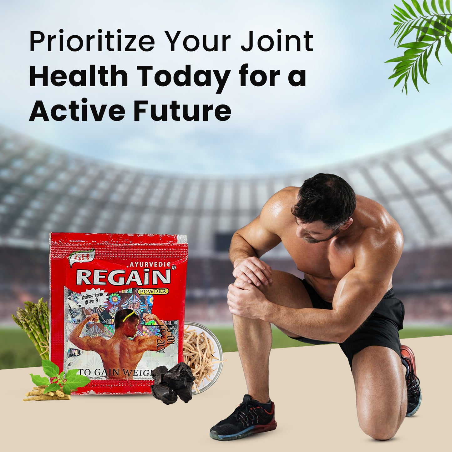 Regain Powder: Achieve Peak Musculoskeletal Wellness